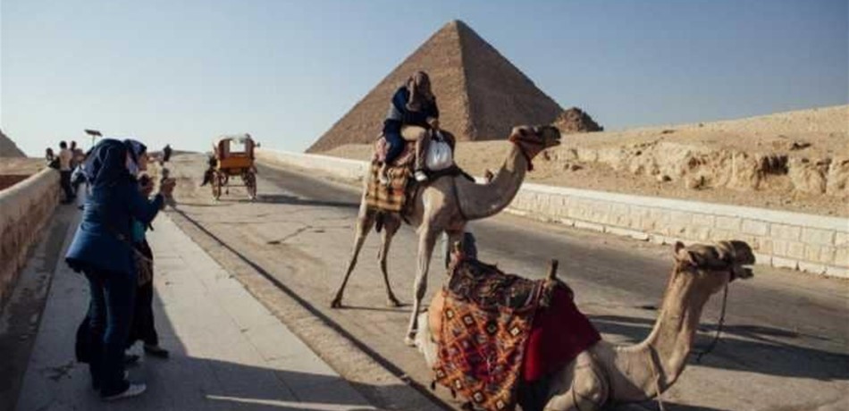 مصر تسجل أدنى مستوى للبطالة منذ 7 سنوات