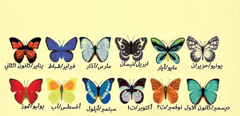فراشة شهر ميلادك والأسرار التي تحملها.. إكتشفي الخفايا كلها<br/>