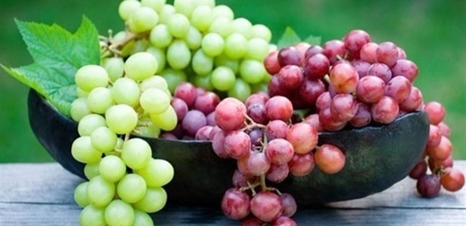 يحمي من السرطان وفوائده لا تُحصى.. ما لا تعرفونه عن العنب