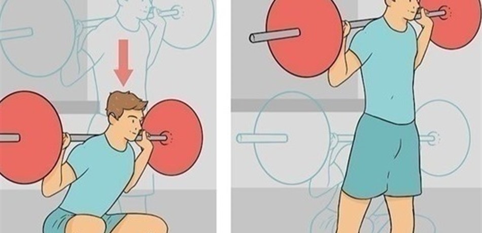 كم من الوقت يستغرق بناء العضلات؟