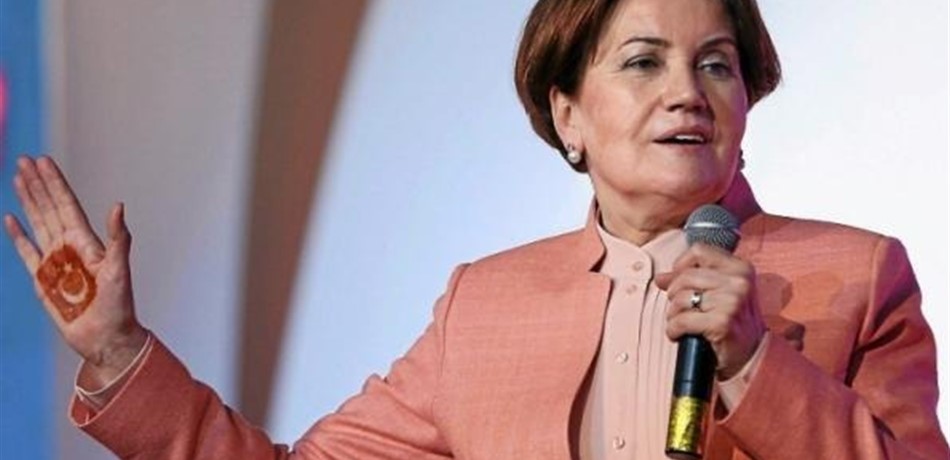 تركيا.. حزب "السيدة الحديدية" ضمن المنافسين الـ10 في الانتخابات المبكرة