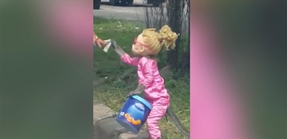 بالفيديو: قرد يتسول.. هذه قصته!  