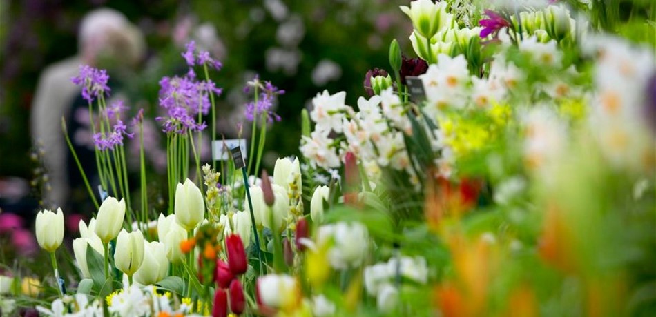 بعد أمطار نيسان.. استفيدوا من استراحة الأسبوع المقبل ومفاجأة في بداية أيار! 