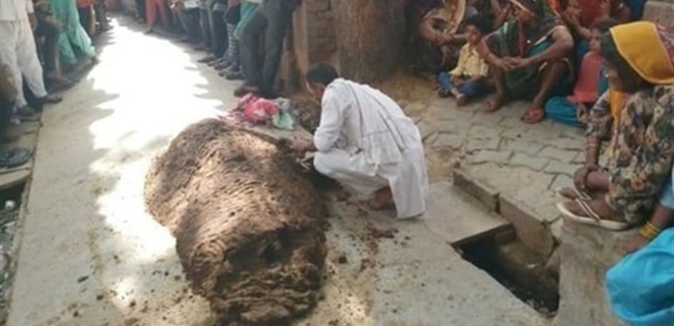 دفنوها حية لعلاجها من لدغة أفعى.. فماتت اختناقاً