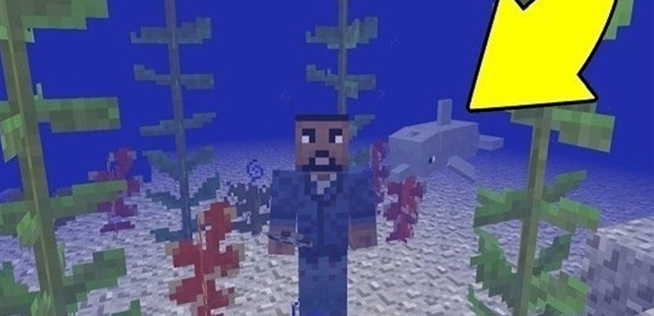 "Aquatic" الإصدار الأخير للعبة ماين كرافت