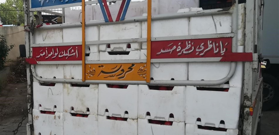 ضبط بندورة سورية مهربة في البقاع
