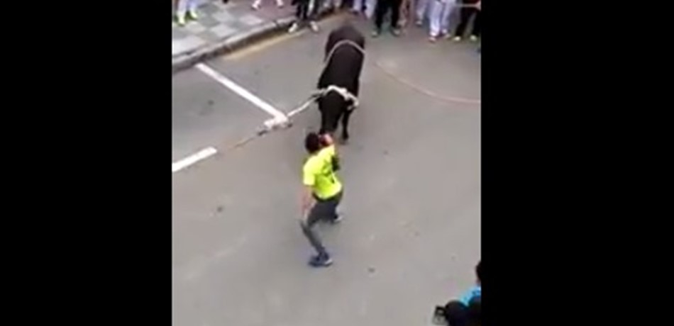 فيديو لأقوياء القلوب.. ثورٌ هائجٌ يفتك برجلٍ في الشارع!