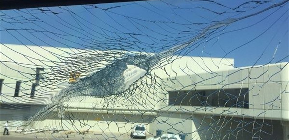بالصور.. طائر يصطدم بطائرة في مطار بيروت والرحلة تُلغى