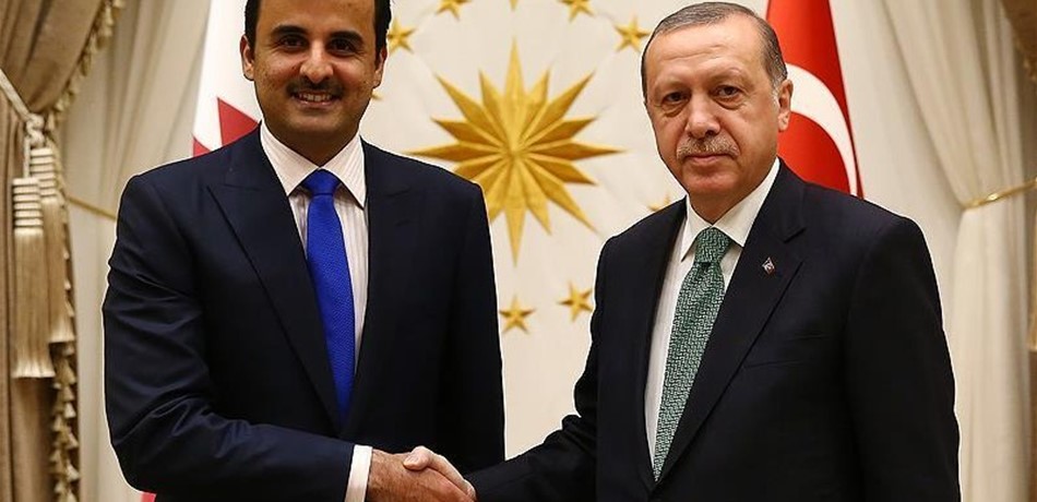 أردوغان يجري محادثات مع أمير قطر.. ماذا بحثا؟ 