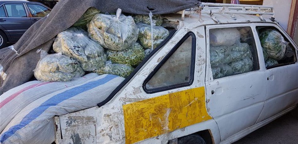 بين المرفأ والبقاع.. "الجمارك" تضبط بضائع مهربة وتصادرها
