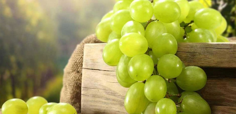حاربوا السرطان بالعنب!