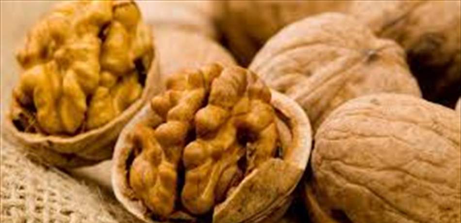 لمرضى السكري.. اجعلوا الجوز رفيقكم الدائم
