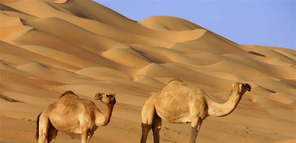 موجة حرّ مصدرها شبه الجزيرة العربية تضرب لبنان