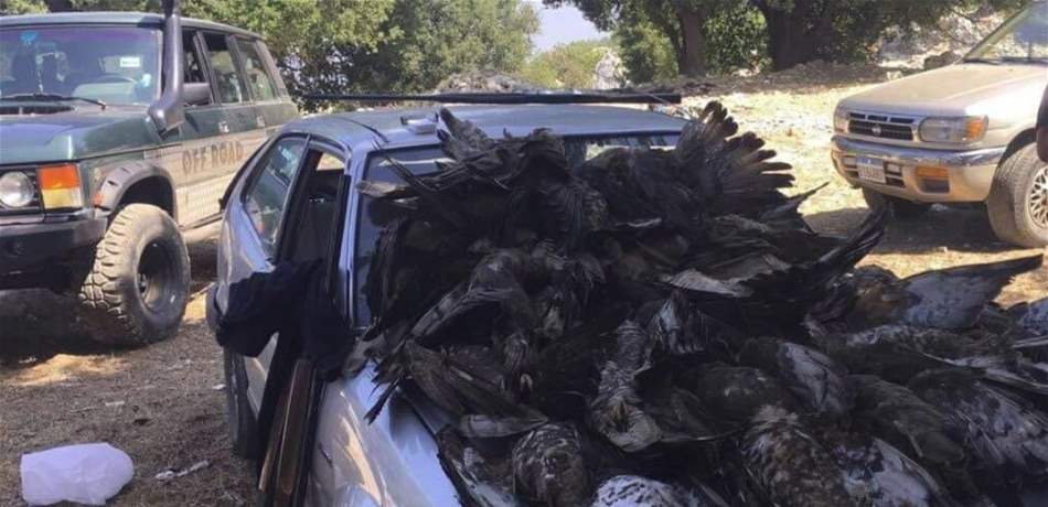 وزير البيئة يحيل صور الطيور على المدعي العام البيئي