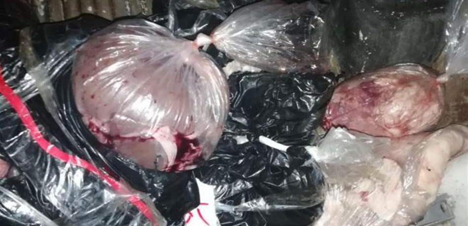 بالصور: في الهرمل.. ضبط مواد غذائية فاسدة ومهرّبة داخل "فان"!