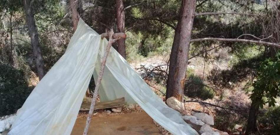 في عملية نوعية.. توقيف مفتعل الحريق بأحراج ساحل علما بأقل من 24 ساعة 