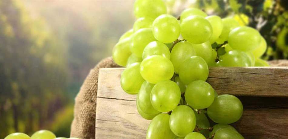 7 فوائد صحية لمستخلص بذور العنب