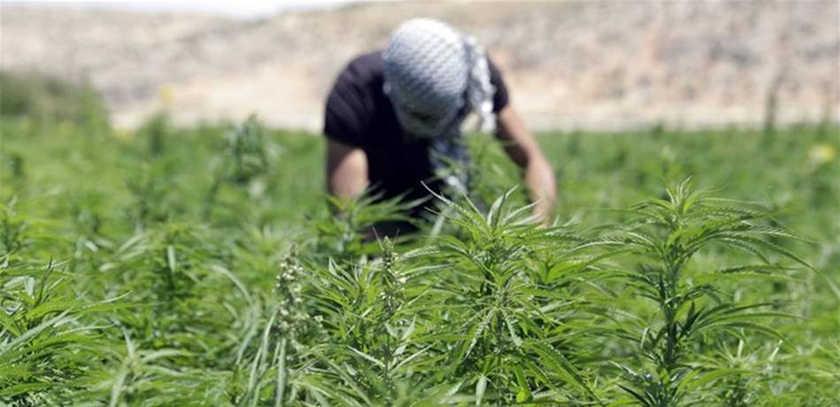 موقع إسرائيلي: هكذا يسيطر "حزب الله" على سوق المخدرات!