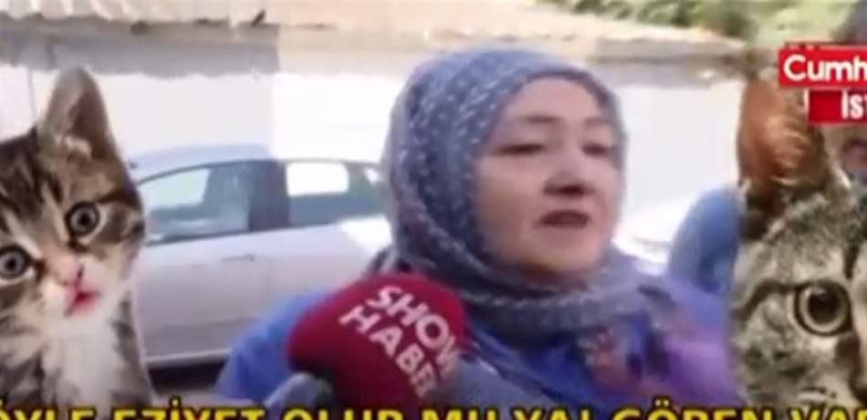 تصرف غريب من نوعه.. تركية تتصيّد القطط وتحولها "شاورما" للسوريين (فيديو)