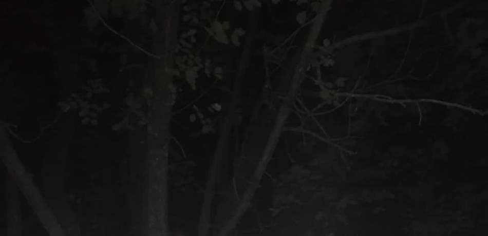 إنقاذ 3 أشخاص ضلوا طريقهم في أحد أحراج يحشوش