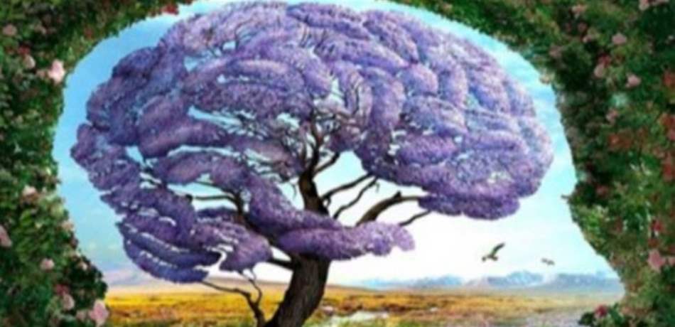 حددي ما الذي ترينه في الصورة واكتشفي نقاط الغموض في شخصيّتك