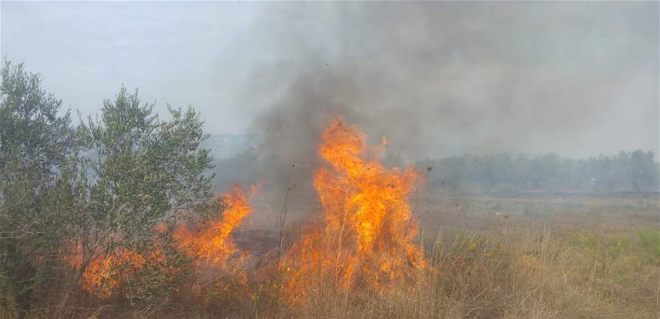 حريق يجتاح أشجار الزيتون في مرجعيون! (صورة) 