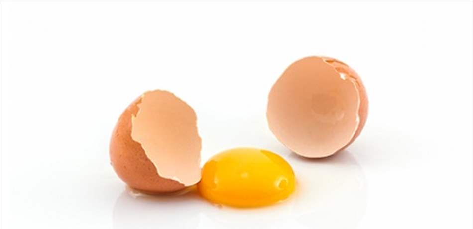 بينها البيض.. إحذر تناول هذه الأطعمة نيئة! 