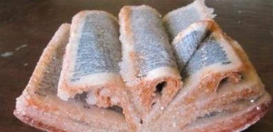 "كتاب مقدس في قاع المحيط".. ما حقيقته؟ 