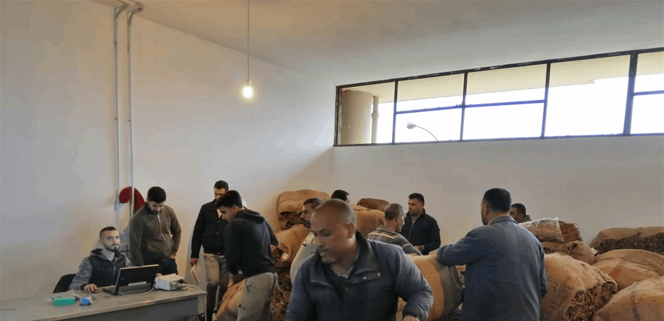 "الريجي" بدات تَسَلُّم محاصيل مزارعي عكّار