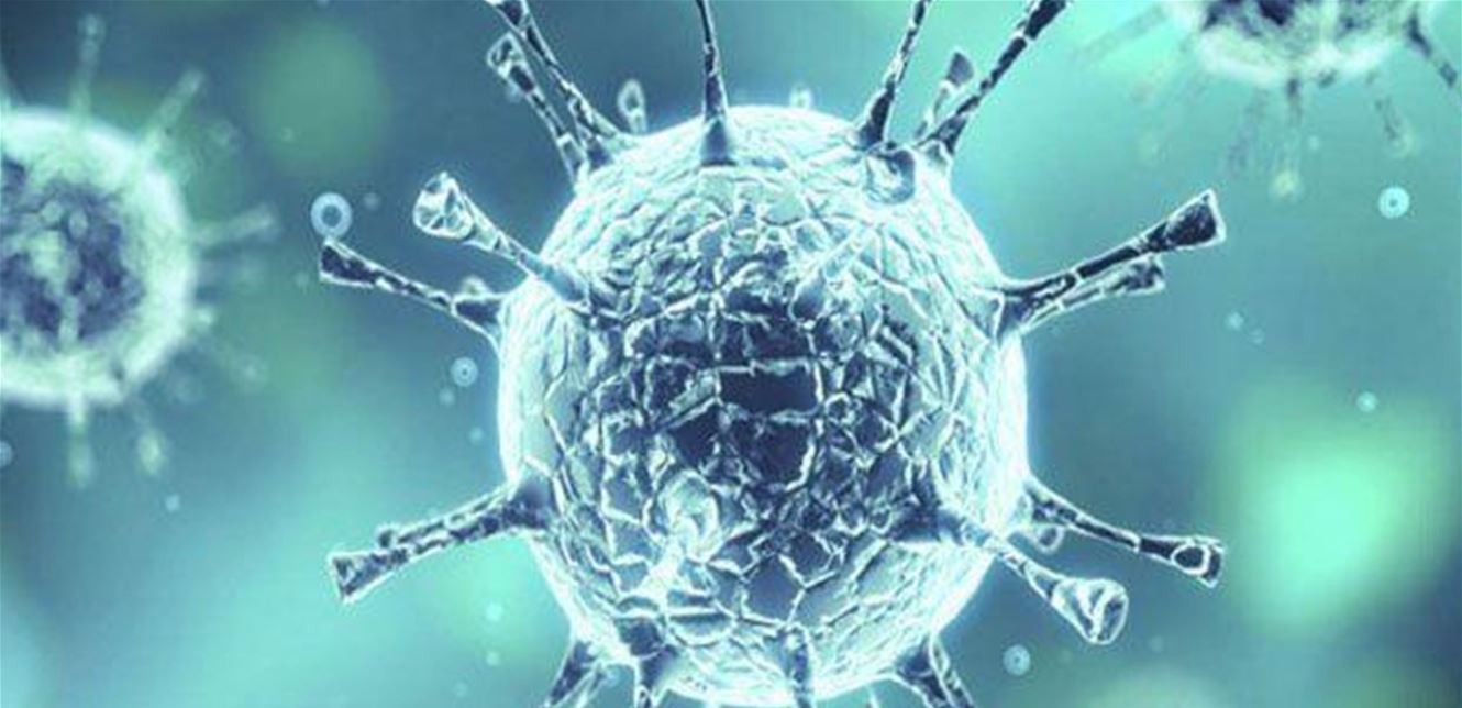 بلدية كترمايا: فحوص الـPCR في البلدة جاءت سلبية 