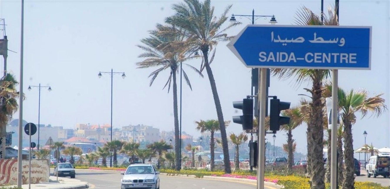 حيوانٌ صحراويّ ضخم يظهر في صيدا.. شاهدوا الفيديو