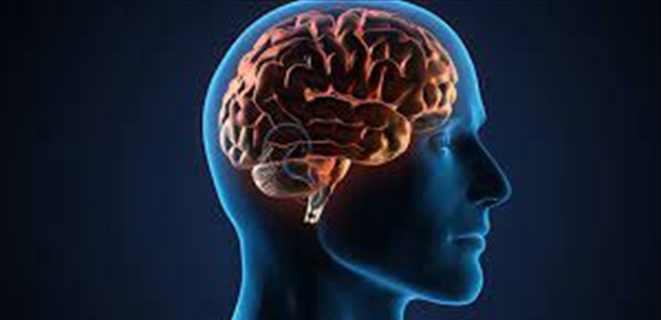 الدماغ يتغيّر مع التقدم في العمر... اليكم التفاصيل 
