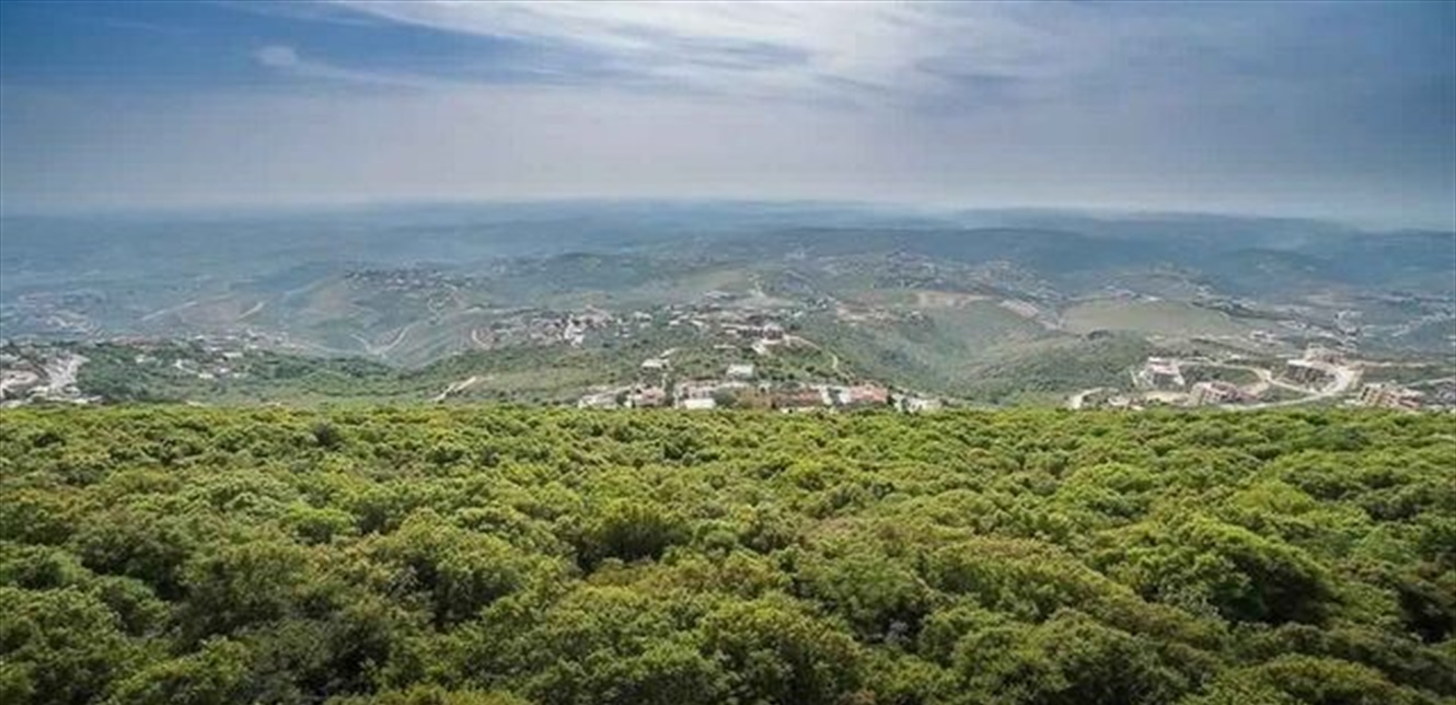 هزة أرضية تضرب جنوب لبنان ويشعر بها السكان... كم بلغت قوتها؟