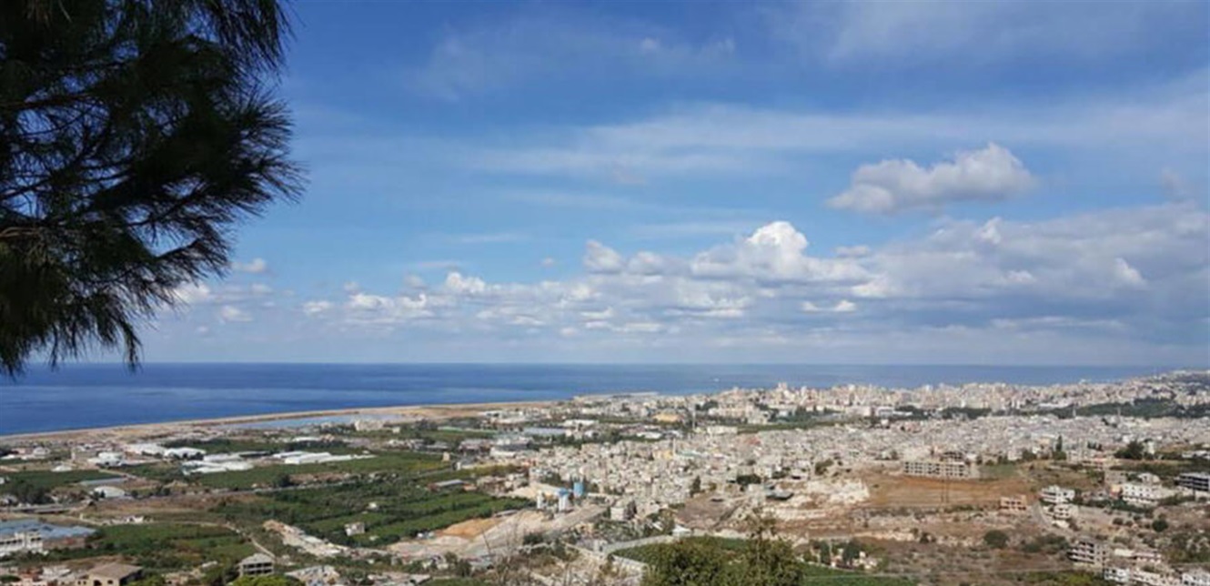 جريمة مروّعة في بلدة لبنانيّة... 4 أشخاص قتلوا طفلا ضرباً حتى الموت!