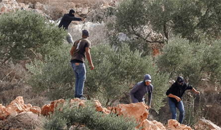 مستوطنون يهاجمون موكباً دبلوماسياً في الضفة الغربية..  ويعتدون على رئيس بلدية فرنسي