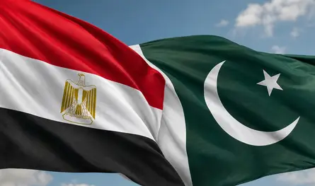 مباحثات مصرية باكستانية لبحث جهود خفض التصعيد بالمنطقة