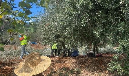 إنفجار قنبلة عنقودية في كررمان