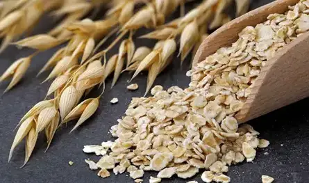 الكينوا والشوفان.. أيهما يمنح جسمك فوائد غذائية أكبر؟
