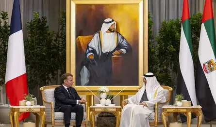 لقاء بين الرئيس الإماراتي ونظيره الفرنسي... هذا ما تم بحثه 