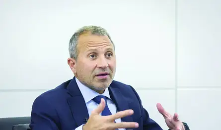 باسيل بحث مع السفير المصري التطورات اللبنانية وملف تصدير التفاح