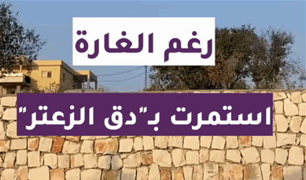 بالفيديو: رغم الغارة.. جنوبية استمرت بـ"دقّ الزعتر"