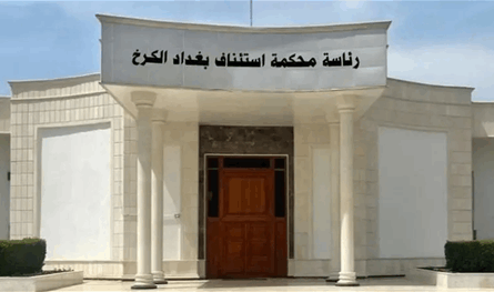 بتهمة الانتماء لداعش.. العراق يحكم بالسجن على 7 فرنسيين 