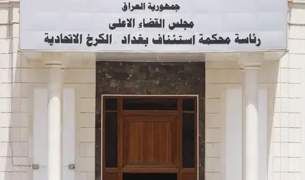 العراق يصدر أحكاماً بالسجن بحق 7 فرنسيين.. ما التهمة؟