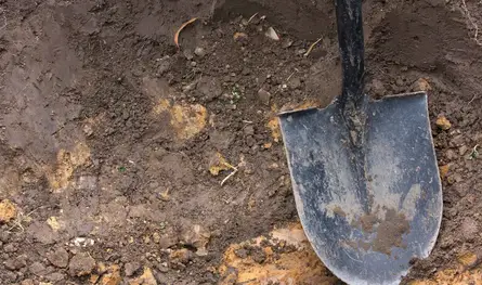 بحثاً عن "سحر" أصاب زوجته.. تونسي ينبش قبوراً ويثير الجدل