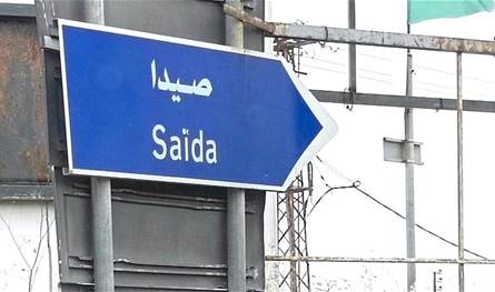 تسميم وقتل كلاب في صيدا.. البلدية تتحرك قضائياً